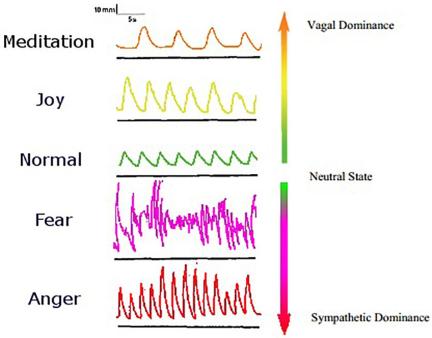 Emotional breath patterns