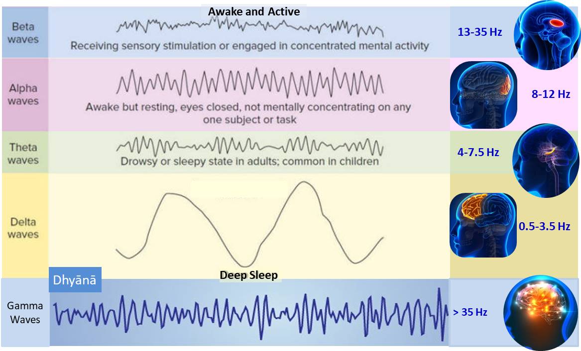 Brain waves v1