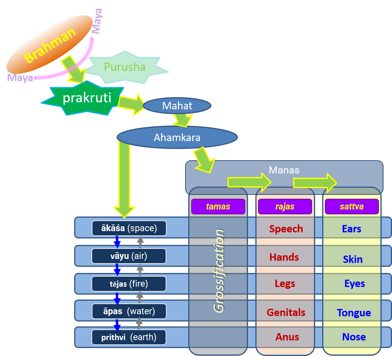 Prakruti Evolutionv1