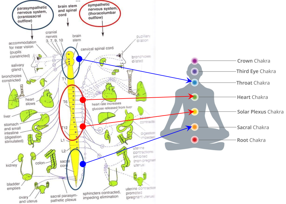 60.  Stress, Breath and Aging