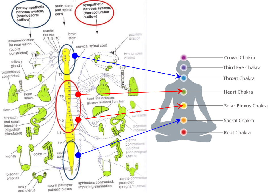 60. Stress, Breath and Aging
